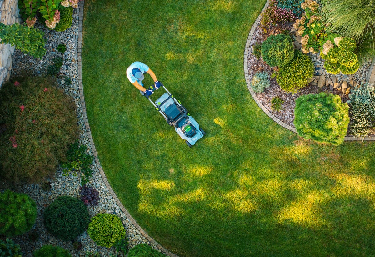 A person mows a lush green lawn in a beautifully landscaped garden with flowerbeds and decorative plants