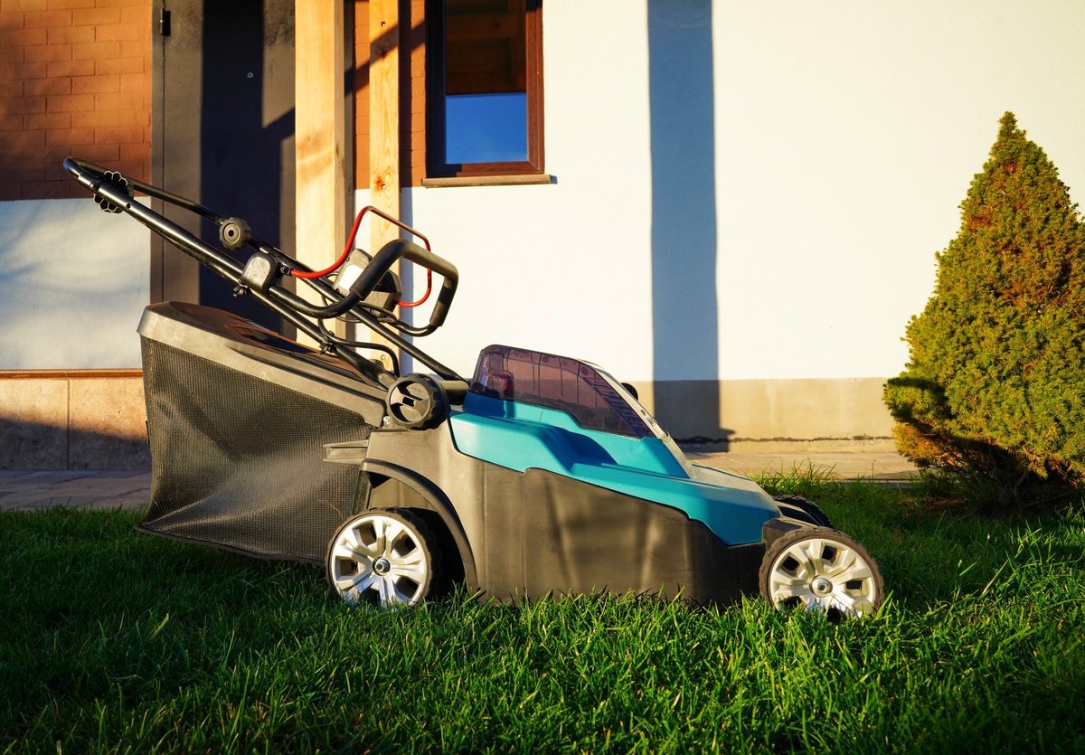 Lawn Mower Electric for cutting grass in garden